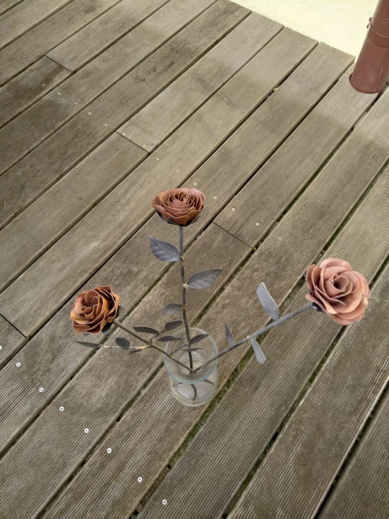 Rose-Ecole-Secondaire-La-Promenade-Payerne